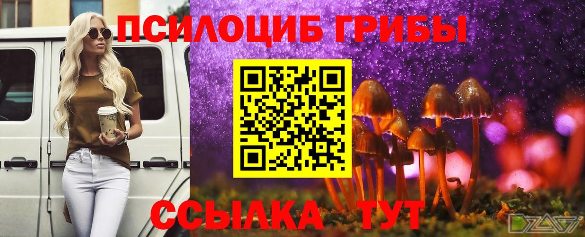 Псилоцибиновые грибы мицелий Биробиджан