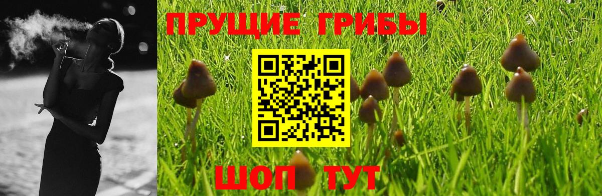 купить   Галлюциногенные грибы прущие грибы  Биробиджан  Вход с VPN  Псилоцибиновые грибы прущие грибы 